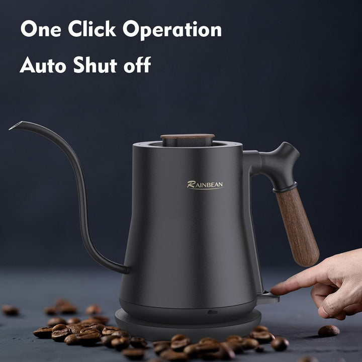 Stainless Steel Inner Electric Kettle with auto Shutoff